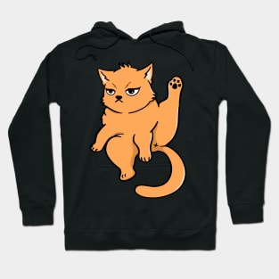 Orange Cat Hoodie